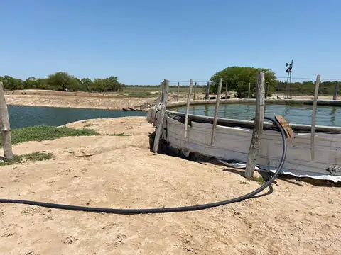 Campo en El Colorado