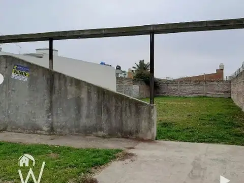 Bolivar Y Pavon