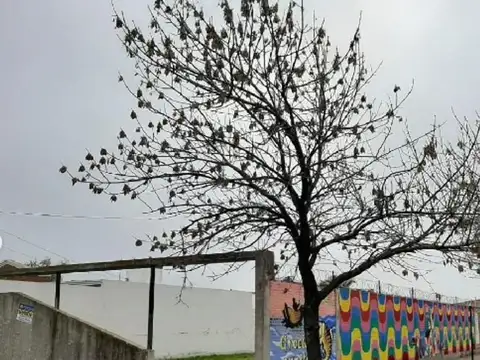 Terreno en Venta de 440,0 m2