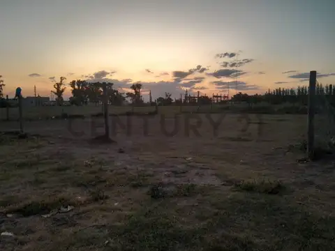 Jaureche y Tierra del Fuego 100