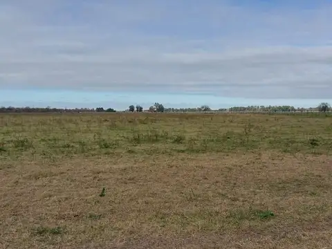 Venta CAMPO DE 9.700 HECTÁREAS - SANTIAGO DEL ESTERO
