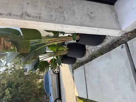 AV Coronel Escalada 1200