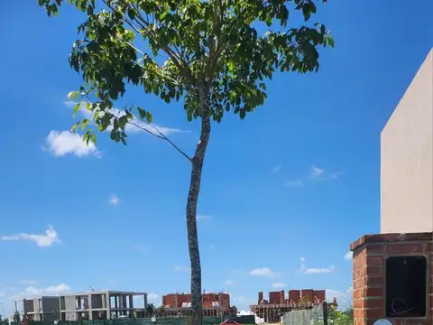 Lote interno a la venta en Riberas