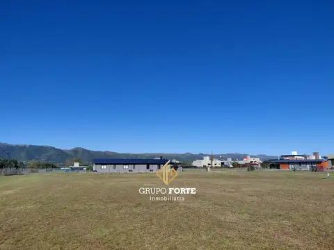 Puerto Del Aguila 100