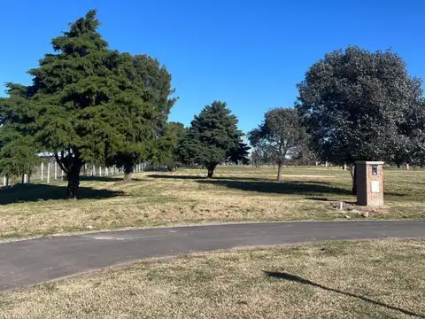 Terreno en Venta de 1006,0 m2