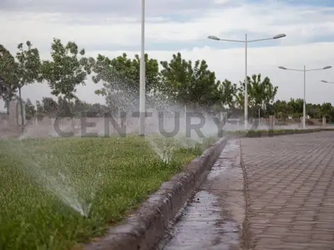 Terreno en Venta 30  mts Fondo