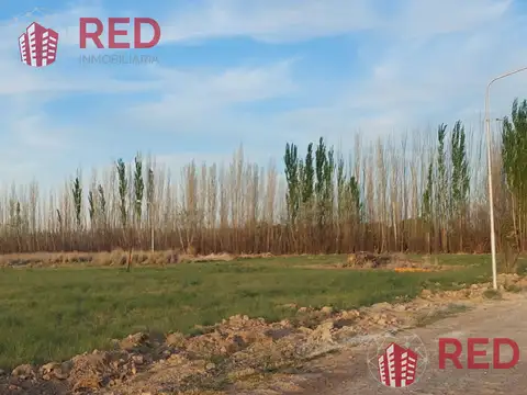 Terreno en Venta 10  mts Frente