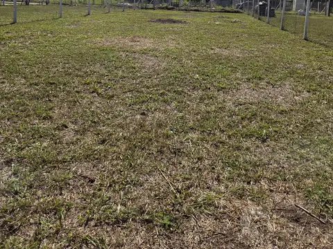 Terreno en Venta 45  mts Fondo