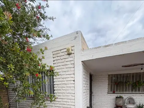 RODRIGUEZ 800