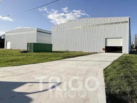 Galpon en Alquiler 40  mts Frente