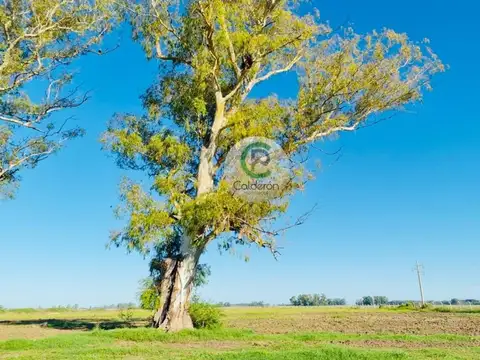 Terreno en Venta en General Rodríguez, USD 30.000