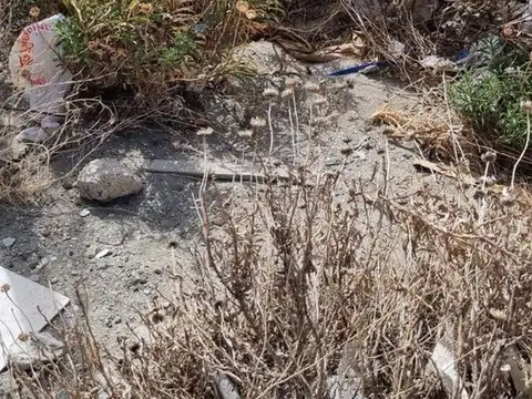 Parcela Manzana 114 100