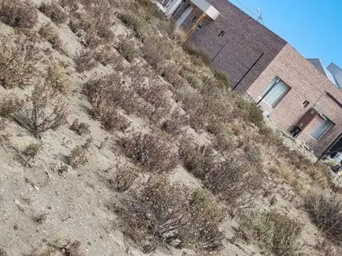 Parcela Manzana 114 100