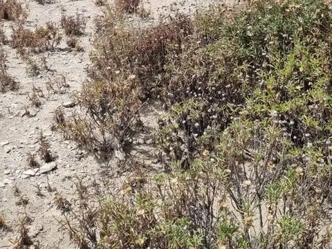 Terreno en Venta de 368,0 m2