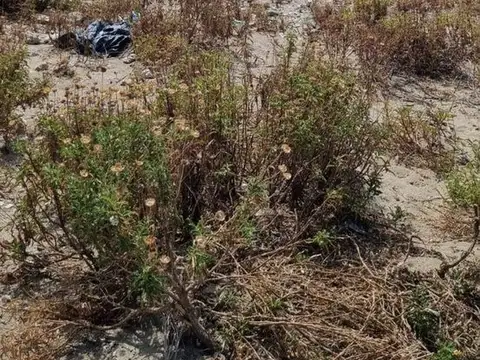 Terreno en Venta en Comodoro Rivadavia, USD 31.500