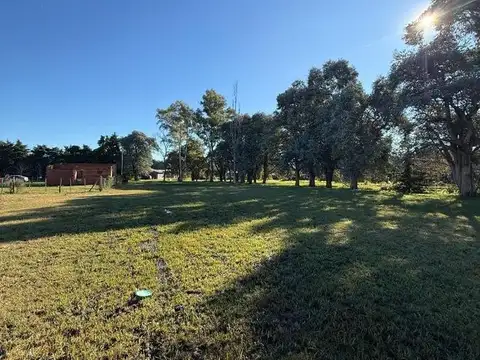 Terreno en Venta en Torres, USD 15.000
