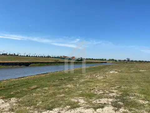 El Naudir Escobar 100