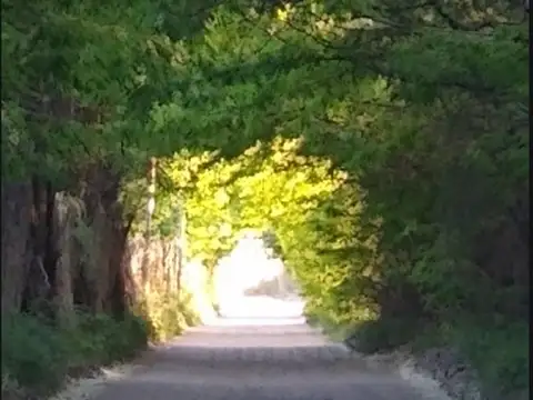 Terreno en Venta de 2156,0 m2