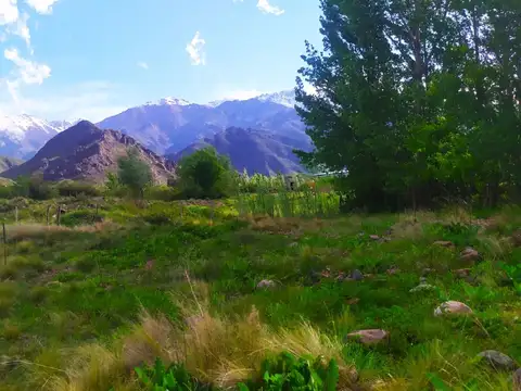 LOTE DE 1.000 M2 EN EL MANZANO