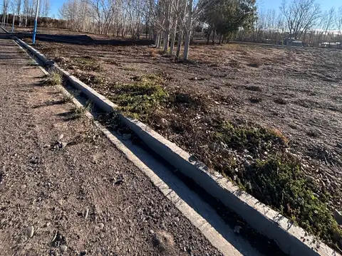 Terreno en Venta 12  mts Frente
