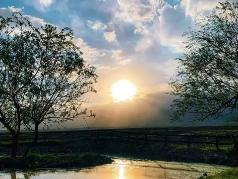 Terreno en Venta de 20000,0 m2