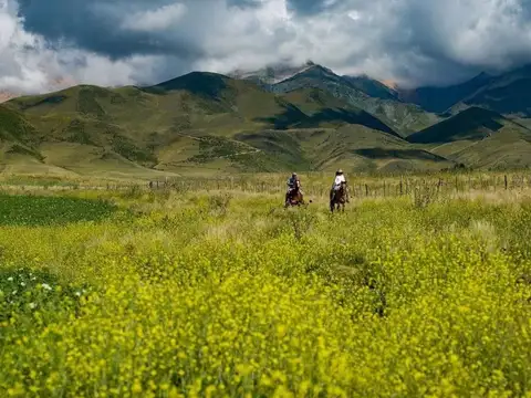 Terreno en Venta en La Carrera, USD 140.000