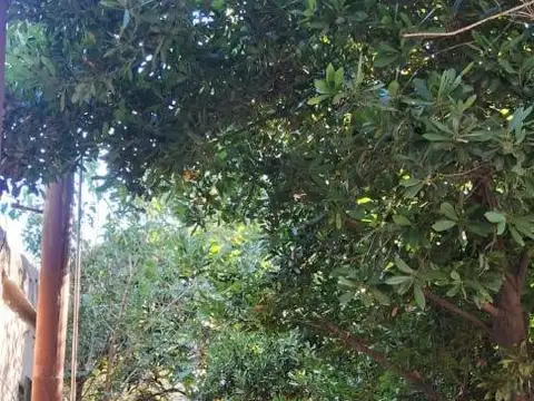 Casa en Venta 45 años