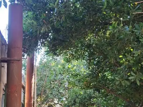 CASA EN LOTE PROPIO MUY AMPLIO