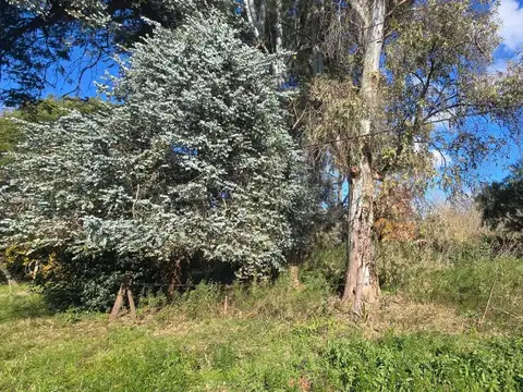Terreno en Venta de 2938,0 m2