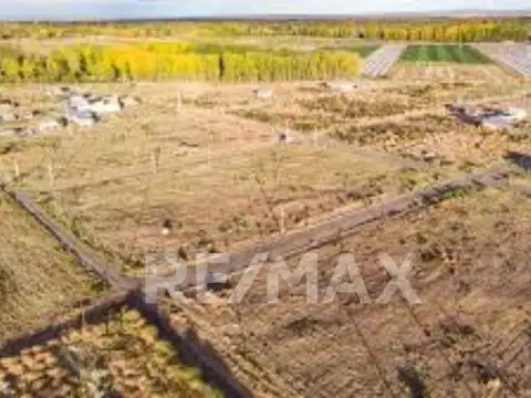 Lote Esquina 592 m2 - venta- Plottier