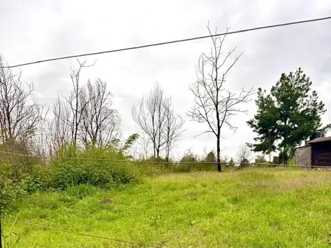 Consultar dirección