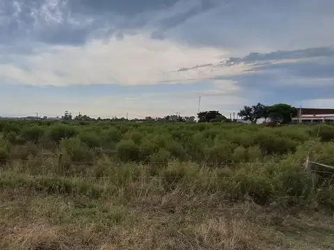 Camino Dellazoppa