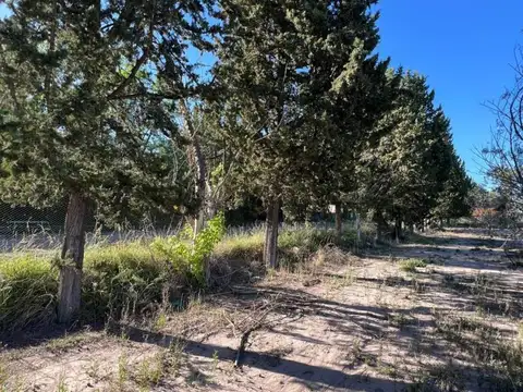 Terreno en Venta de 500,0 m2