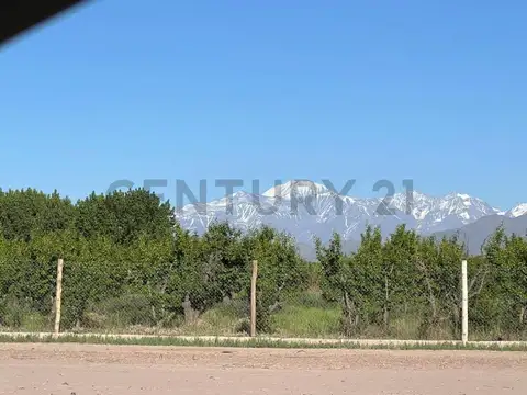 cruz videla 2000, Piso 0