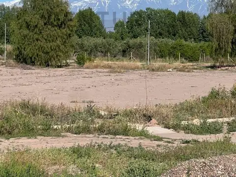 cruz videla 2000, Piso 0