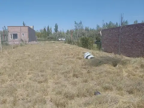 Terreno en Venta en General Roca, USD 18.500