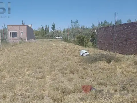 Terreno en Venta en General Roca, USD 15.500