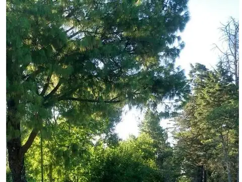 Terreno en Venta en Campana, USD 50.000