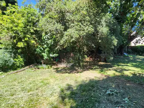 Venta de Terreno en Martinez 1000 m2