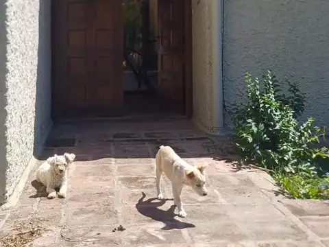 MACARENA al 400