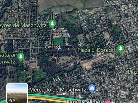 BRASIL 100