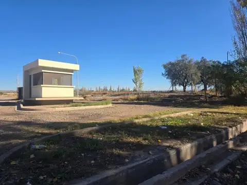 Cruz Videla Barrio La Arbequina D-7