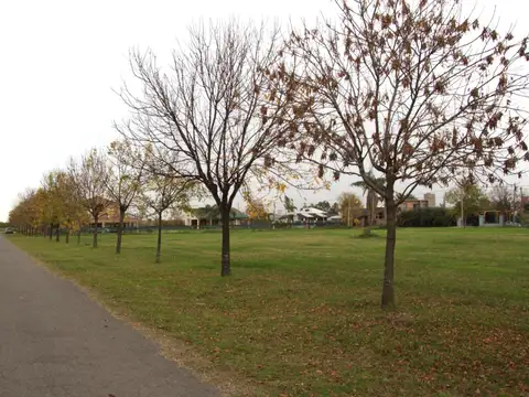 Av. Punta Chacra - Roldán - Santa Fe