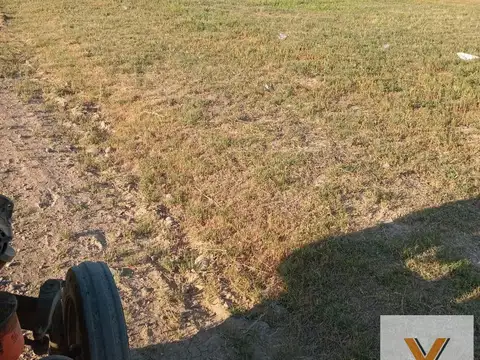 Terreno en venta - 381.18Mts2 - General Roca, Río Negro