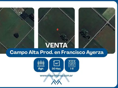 Terreno Agrícola Ayerza, Pergamino, Bs. As.