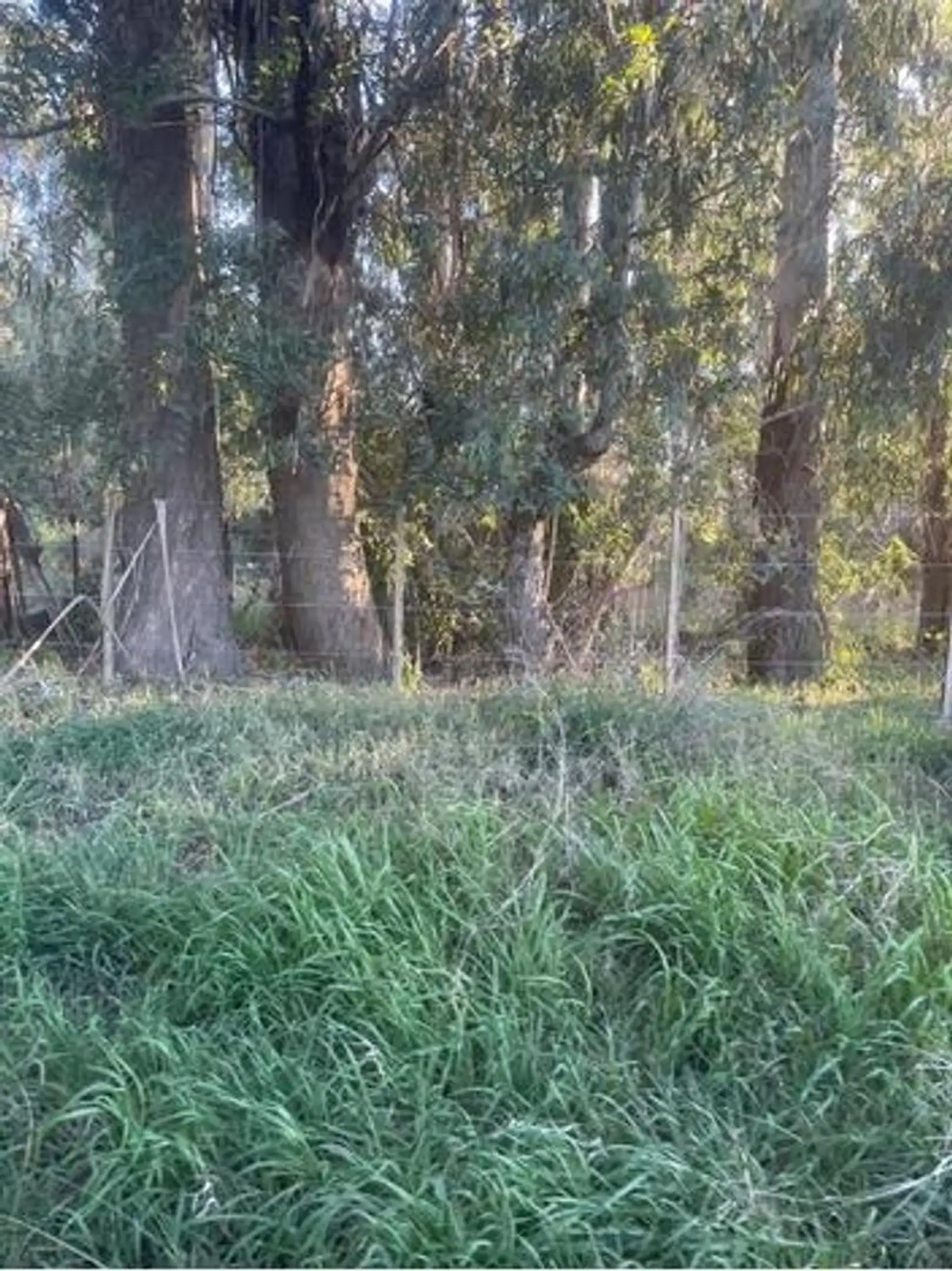 lote en la elena con servicios