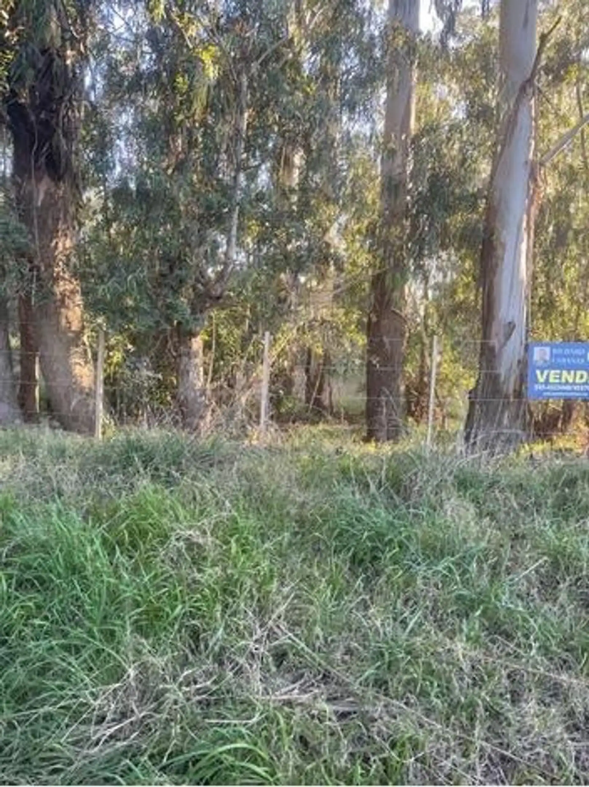lote en la elena con servicios