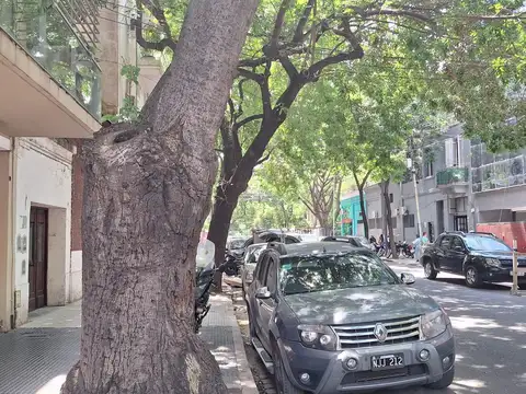 Ciudad de la Paz  al 1100