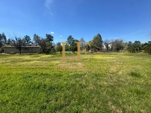 Cube 100