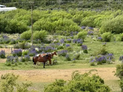 Terreno Chacra en Rio Pico - 2 Hectáreas